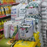 کالا برگ و طرح یسنا
