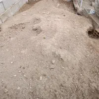 کود مرغی