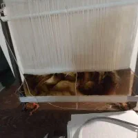 تابلو فرش ابریشم