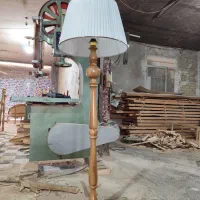 کنارسالنی ایستاده چوب راش