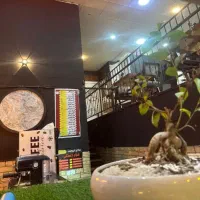 درخواست همگار جهت شراکت در جگرکی