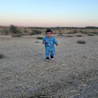 1000-زمین-سند-ششدانگ-کاربری-باغی