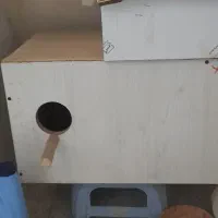 ۳ تا لونه طوطی سانان بزرگ خیلی بزرگ