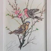 تابلو نقاشی با تکنیک مداد رنگی