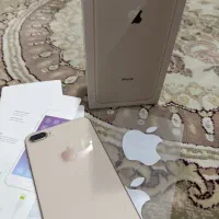 8 پلاسه نیست در جهان