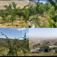 200-متر-چهاردیواری-سند-تک-برگ-باغچه