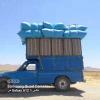 کاه گندم دیم کاه نرم