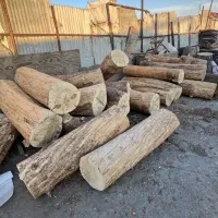 خرید و فروش چوب ،تخته ،تنه درخت وقطع درخت
