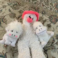 سه تا عروسک باهم ۲۵۰
