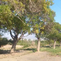 باغ-قلعنو-خرقان
