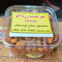 مغز هسته زردآلو شیرین ( بوداده)