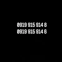 خط 919 بیلبوردی