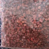 زرشک تازه