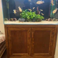 آکواریوم apa 100 50 50 با میز چوبی