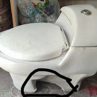 فرنگی