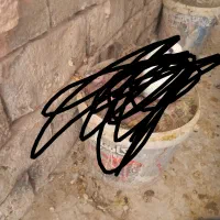 همشون ماده هستن