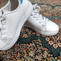 کفش کتونی|کیف، کفش، کمربند|بروجرد, |دیوار