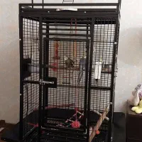 قفس بزرگ خارجی پرنده