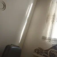 همخونه-خانم