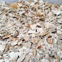 نان خشک خیلی تمیز