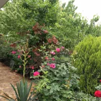 ویلایی-250-متر-دوممر-حیاط-دار-3خواب