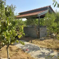 اجرای اسکلت فلزی  الاچیق