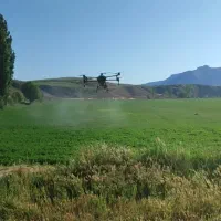 سمپاشی هوایی با پهپاد