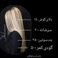 پاکسازی شپش موی سر (فوری و تضمینی)
