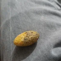 مهره شانس
