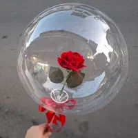 باکس بالنی بوبو وشاخه ای ،هدیه ی تولد،نوزادی و..