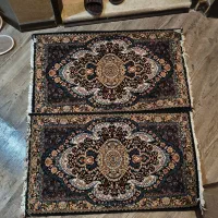 دو عدد پادری سالم