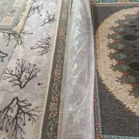 فرش|فرش|دهدشت, |دیوار