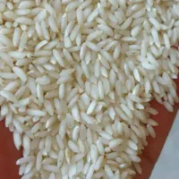 استخدام کارگر ساده در کارخانه فرآوری غلات