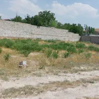 زمین.لبسنگی. سند. تک برگ