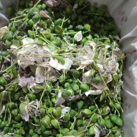 کپرگل تازه