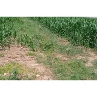 کود ارگانیک جهت افزایش تناژ