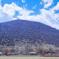 زمین ییلاقی ۵۰۰ متری در روستای کجور