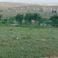 زمین داخل بافت شهرک نجم اباد