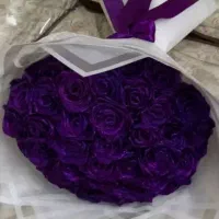 گل ربانی