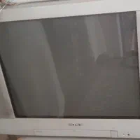 تلویزیون
