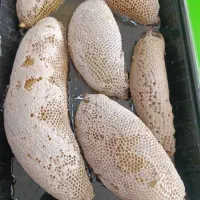 عسل طبیعی ازدل کوه