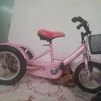 یک سه چرخه چینی کاملااستستایی