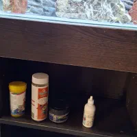 اکواریوم