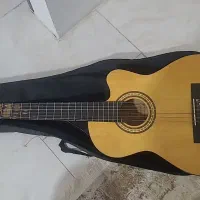 گیتار اصل پائوچیا