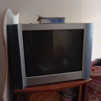 تلوزیون