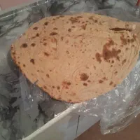 گندم