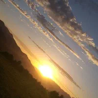 باغ پشت رستوران توریستی