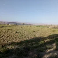 زمین کشاورزی سند تک برگ سبز شش دانگ عرصه وعیان