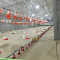 کارگر مرغداری با خانواده