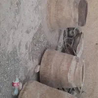 تنورگلی باموی بز